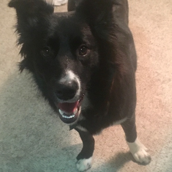 Meet your Posher, Kelly - Picture 6 of 6